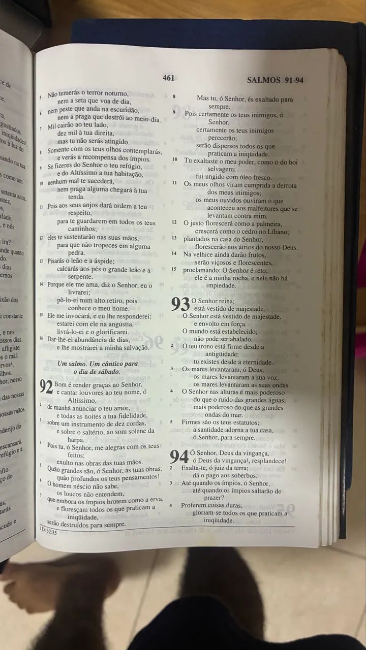 Bíblia alfalit 1996 - Foto 3