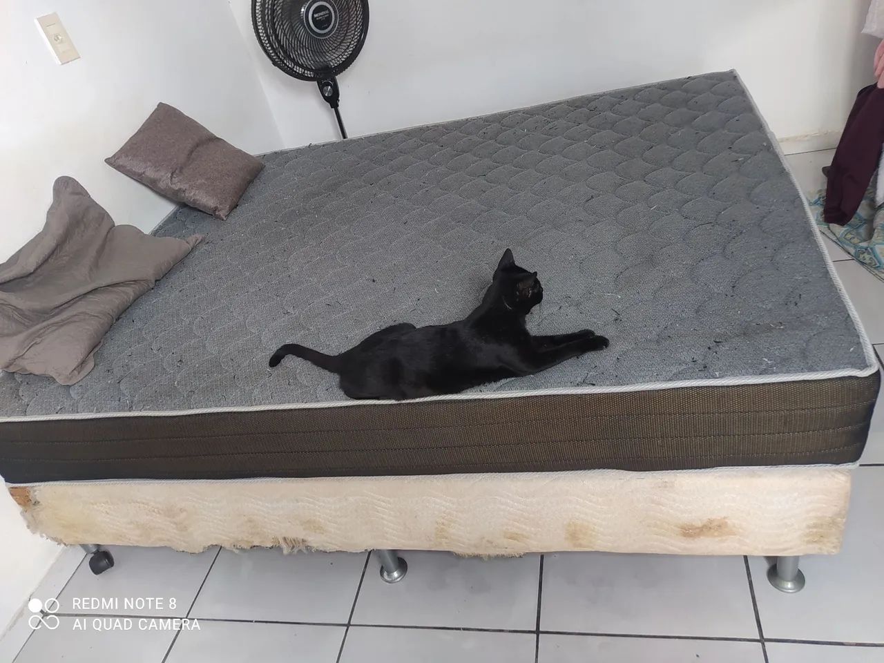 Cama Queen 
