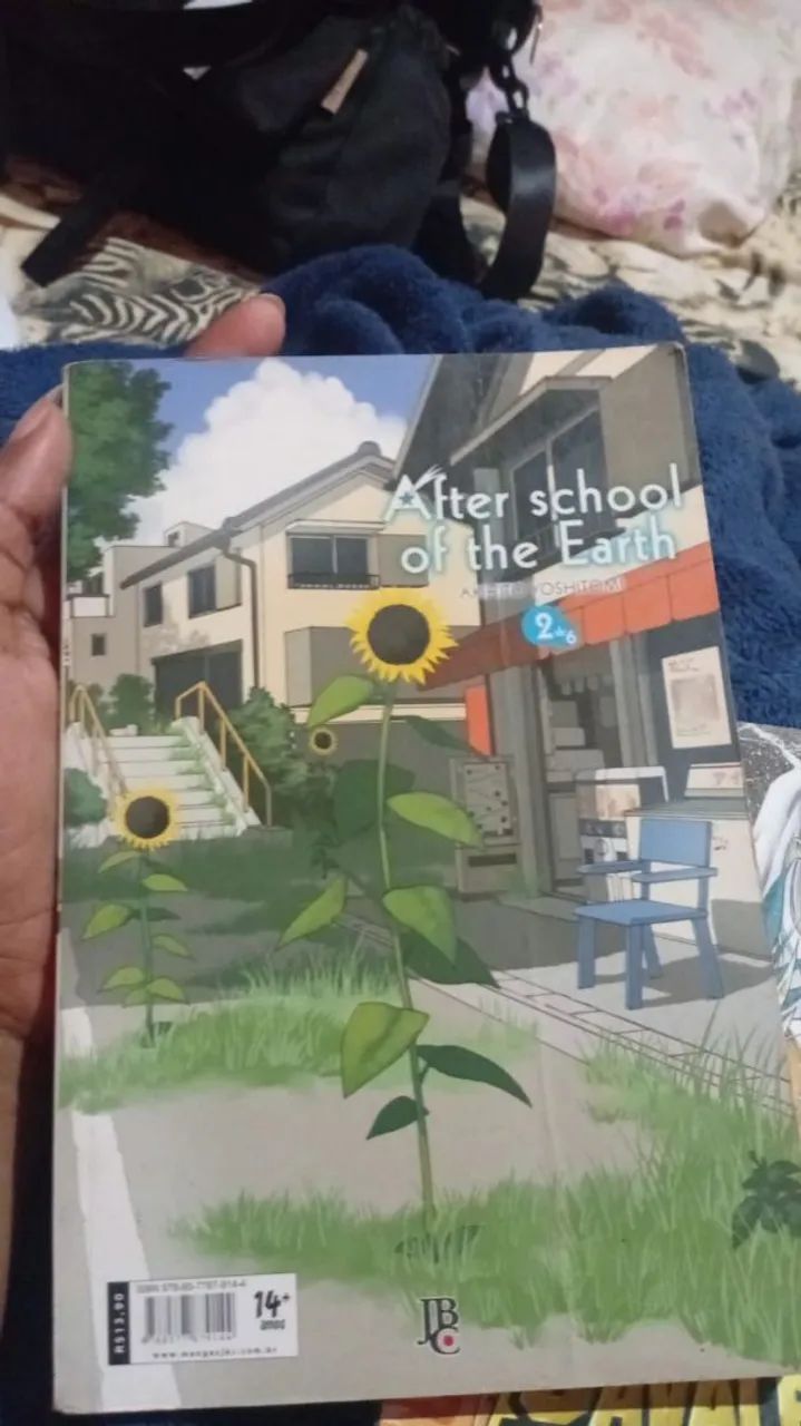 Mangás Cavaleiros do zodíaco e after school of the earth - Livros