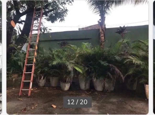 ChácaraClima Bom - Foto 2