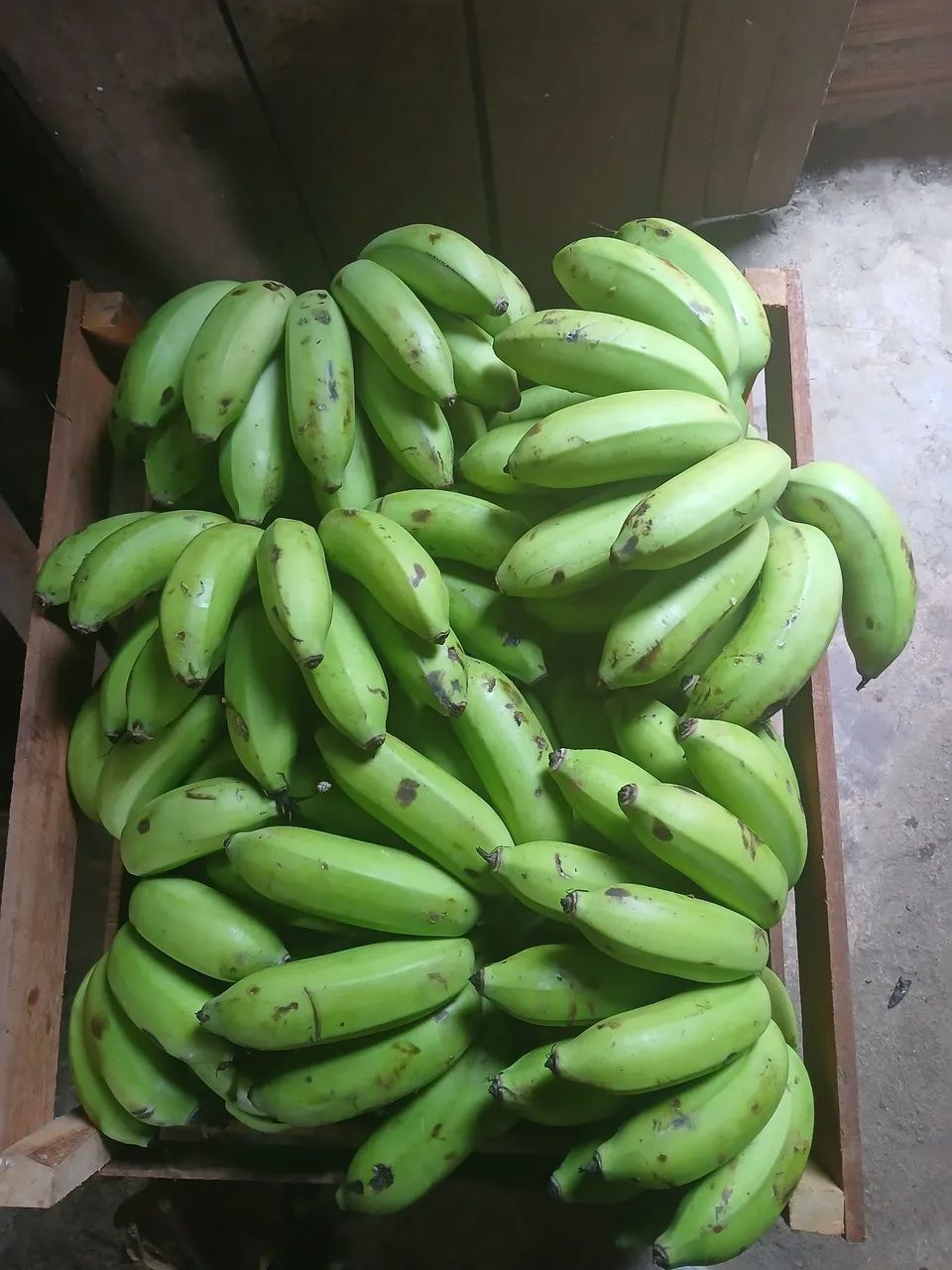 Bananas ?  - Foto 4