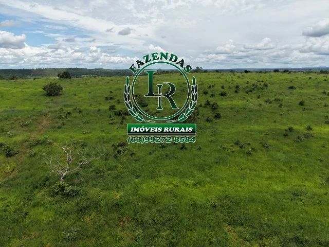 Chácara 8.29 Alqueires Região barrolândia - Foto 5