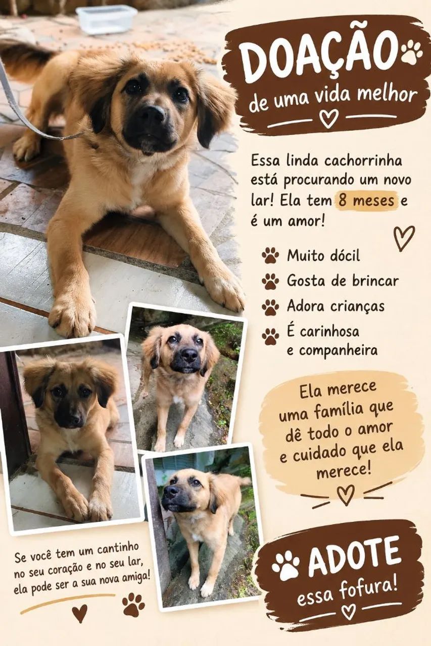 Adoção responsável 
