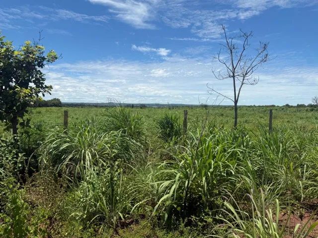 Chácara 02 alqueires, ou seja 10 hectares Projeto Prata - Foto 3