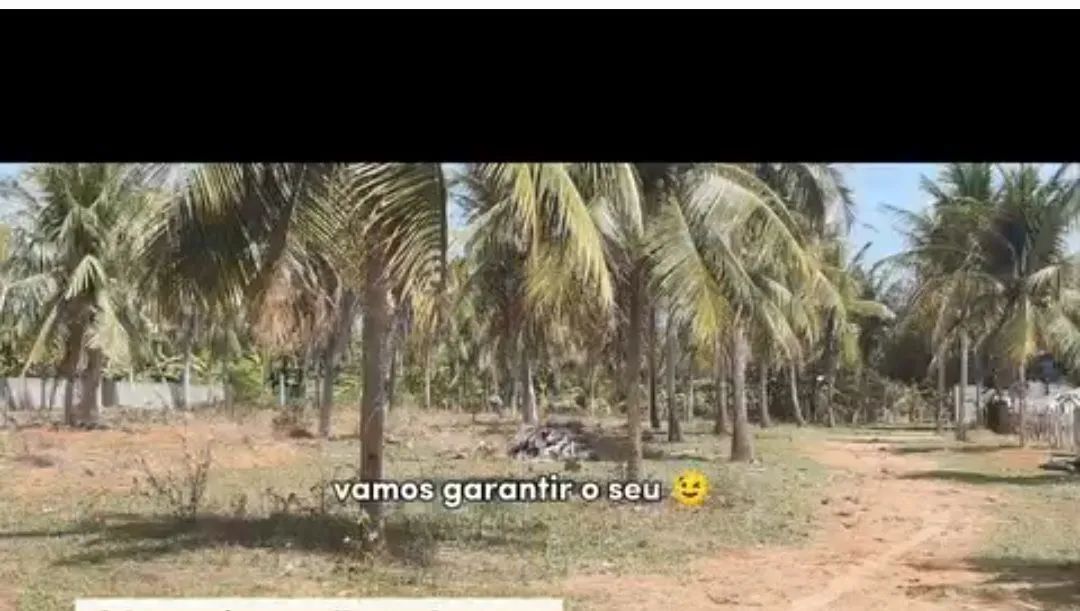 Foto - Nísia Floresta - 