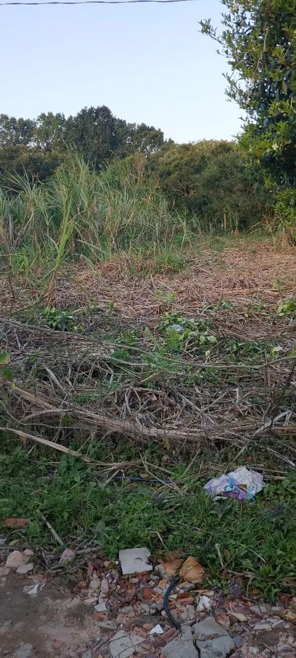 Terreno para Alugar  - Foto 2