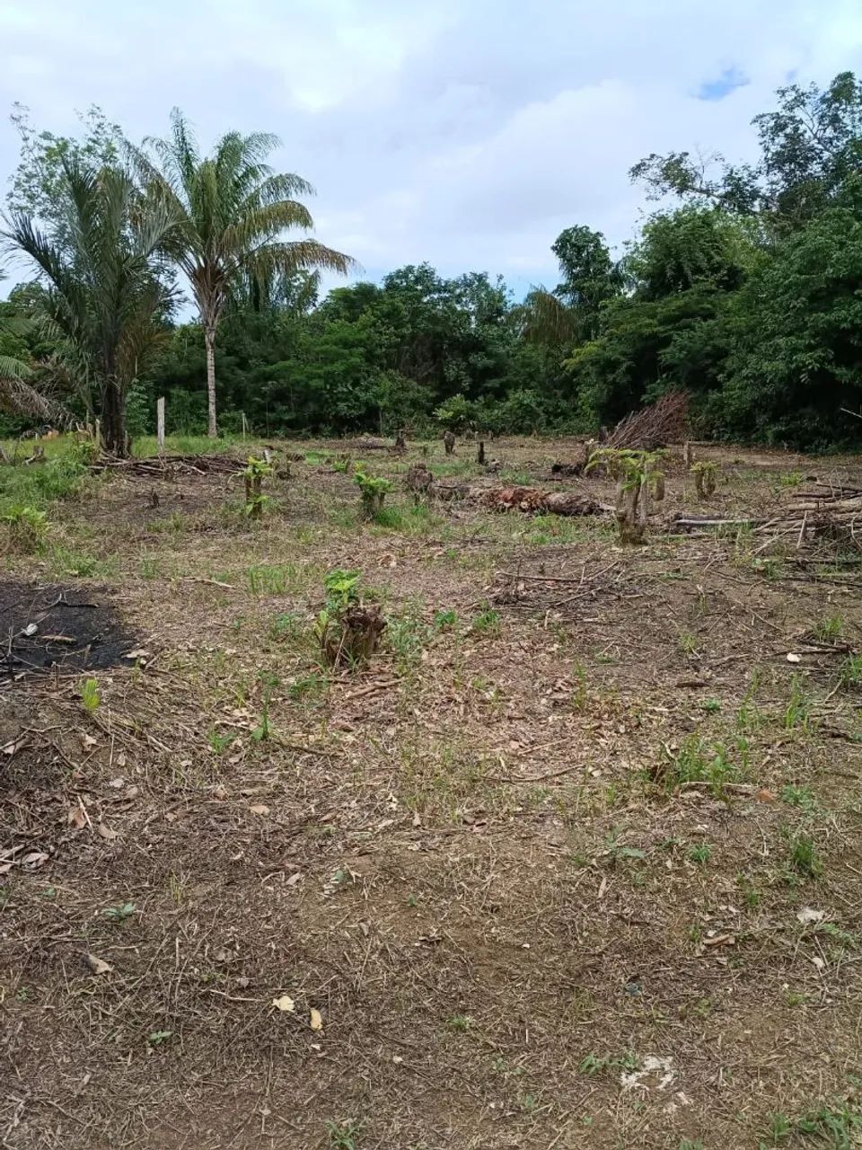 Vendo terreno,20X50  - Foto 2