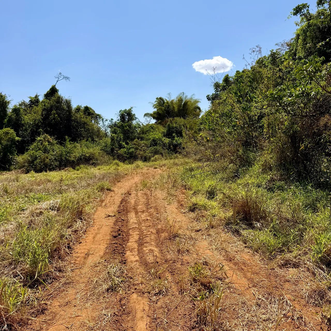 Chácara com Córrego à 300 metros da cidade de Goianápolis-GO - Foto 3