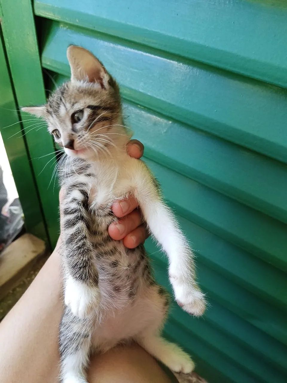 Doação responsável 