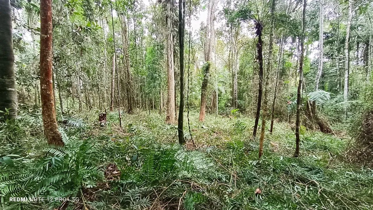 Vendo . Pego carro em negócio 