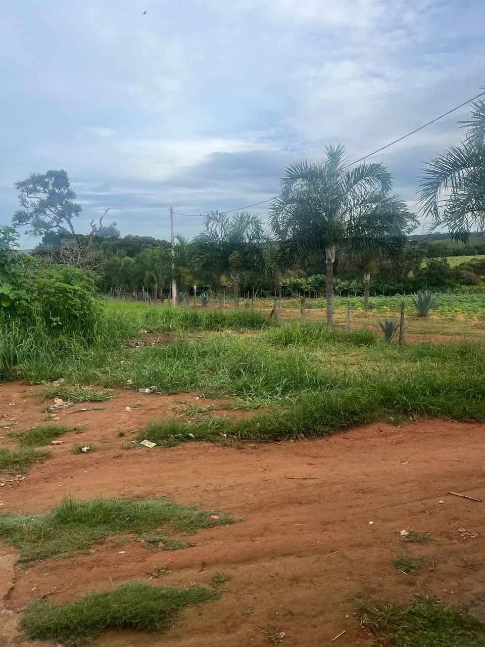 Foto - Brasília - Recanto das Emas