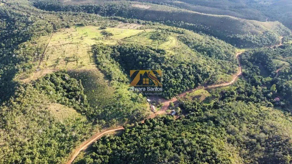 Fazenda com 10 Alqueires na Zona Rural de Palmas - Sentido Lajeado á 45 km do Centro - Foto 8