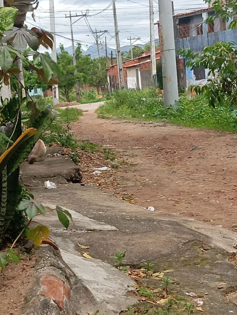 CASA NO BOM JARDIM - Foto 2
