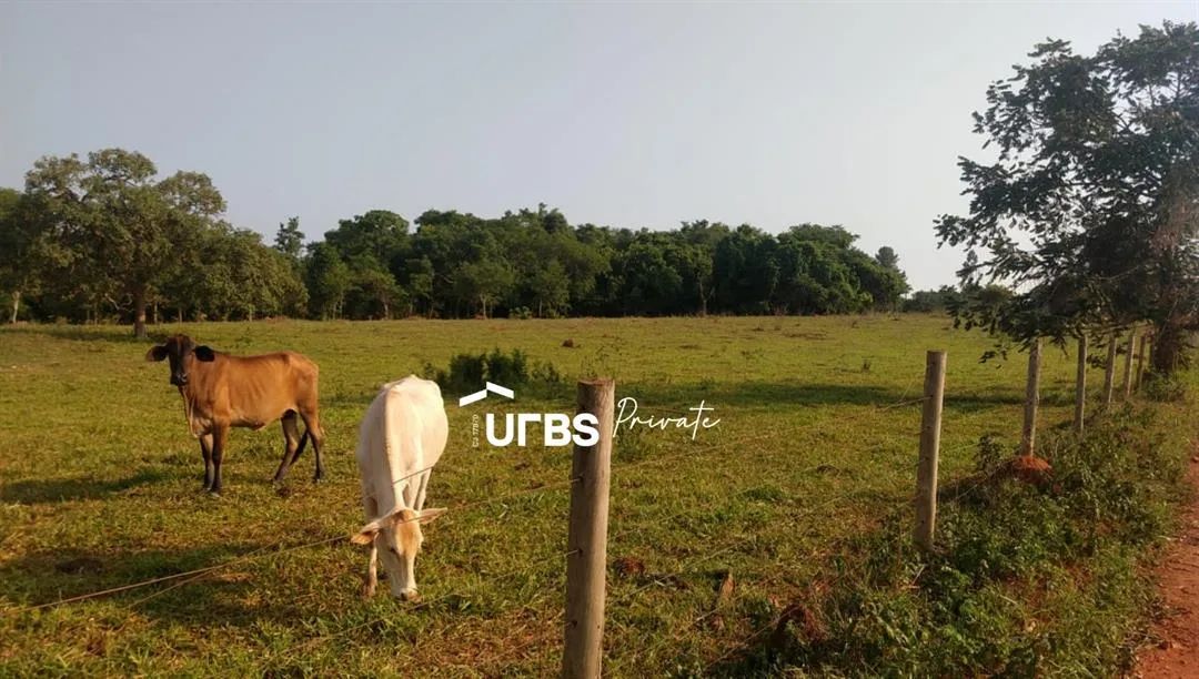 Chácara 330 mil m² em Guapó - Foto 2