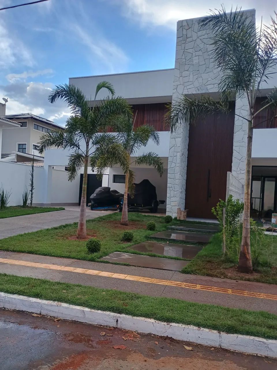 Palmeira - Foto 2