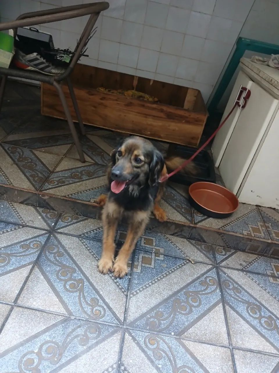 Doação  - Foto 3