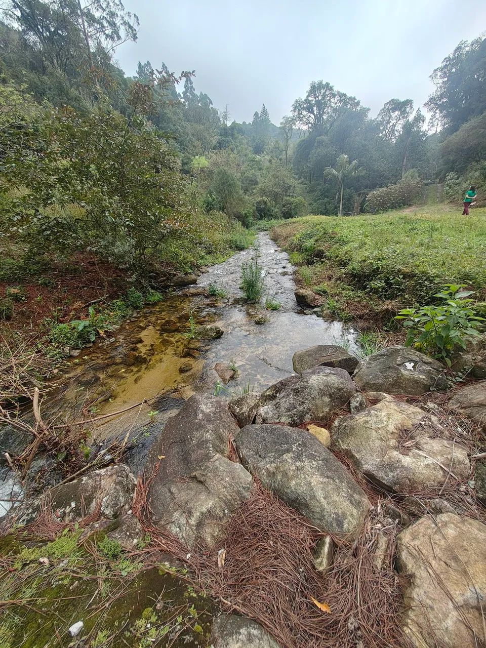 Sítio em Águas Mornas 4 hectares  - Foto 5