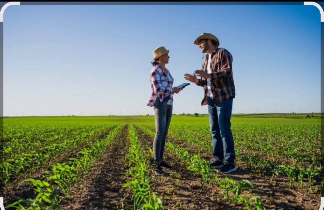 Agrônomo no Campo e Responsável técnico loja Agropecuária 