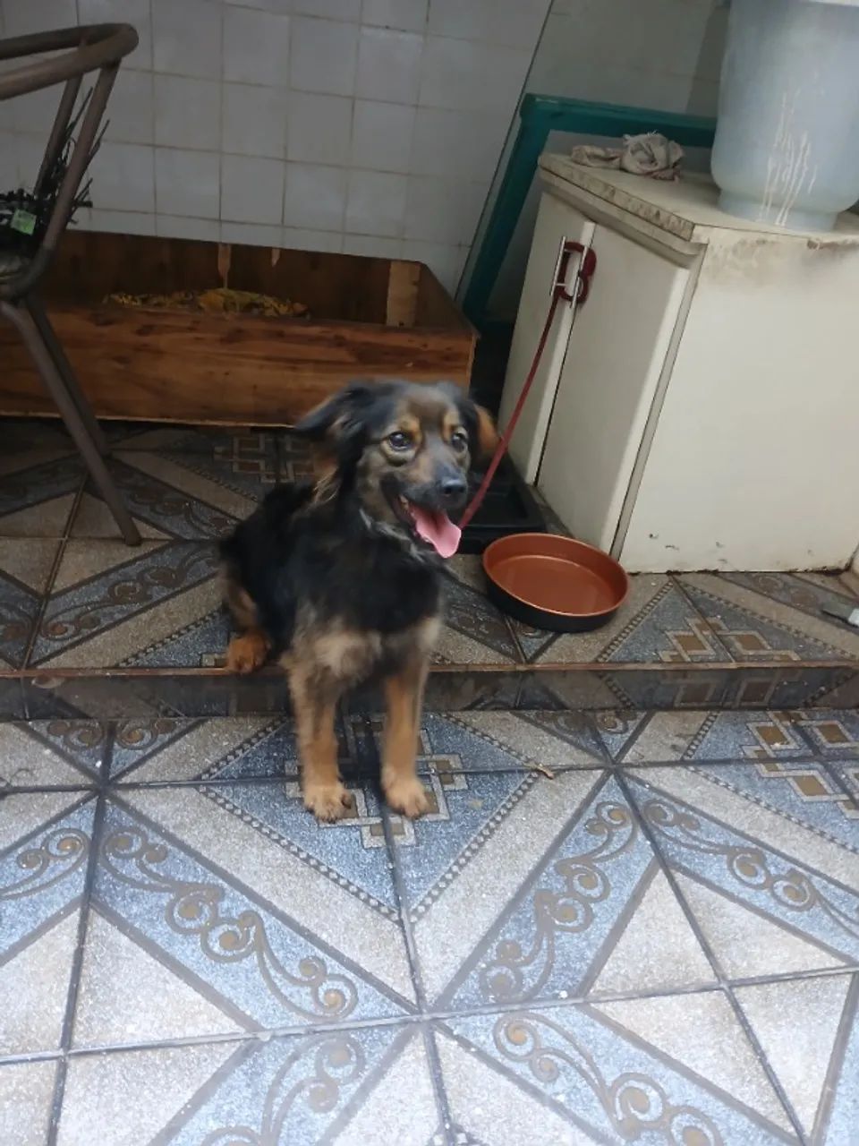 Doação 