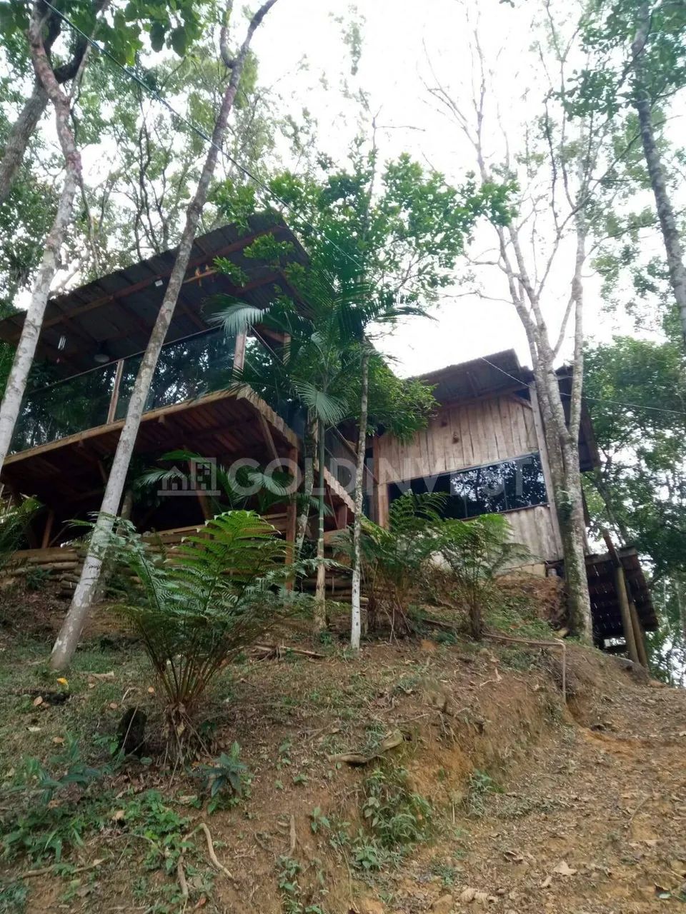 Sitio na Limeira com 10.000,00 m² - Foto 3