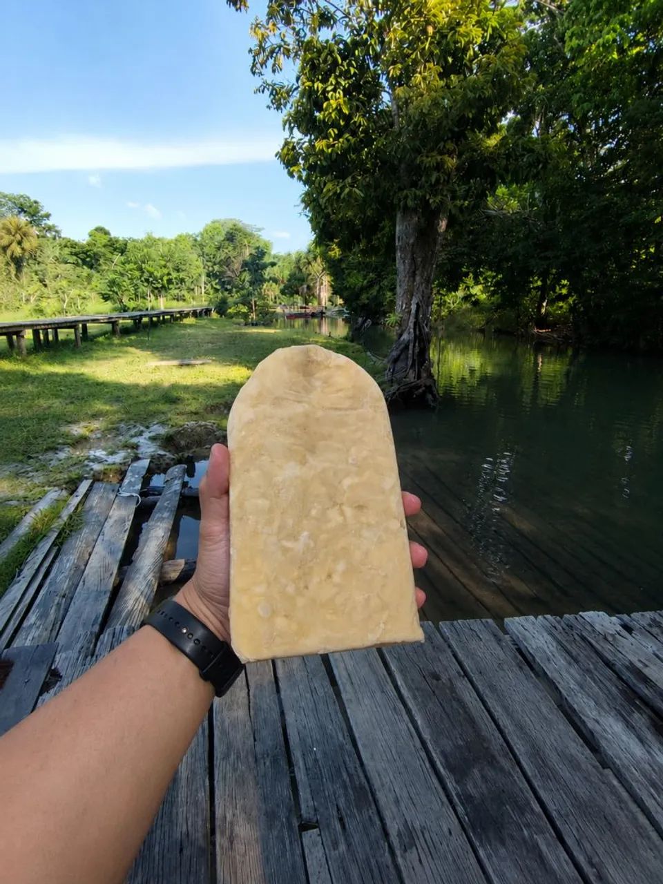 Polpa de Cupuaçu