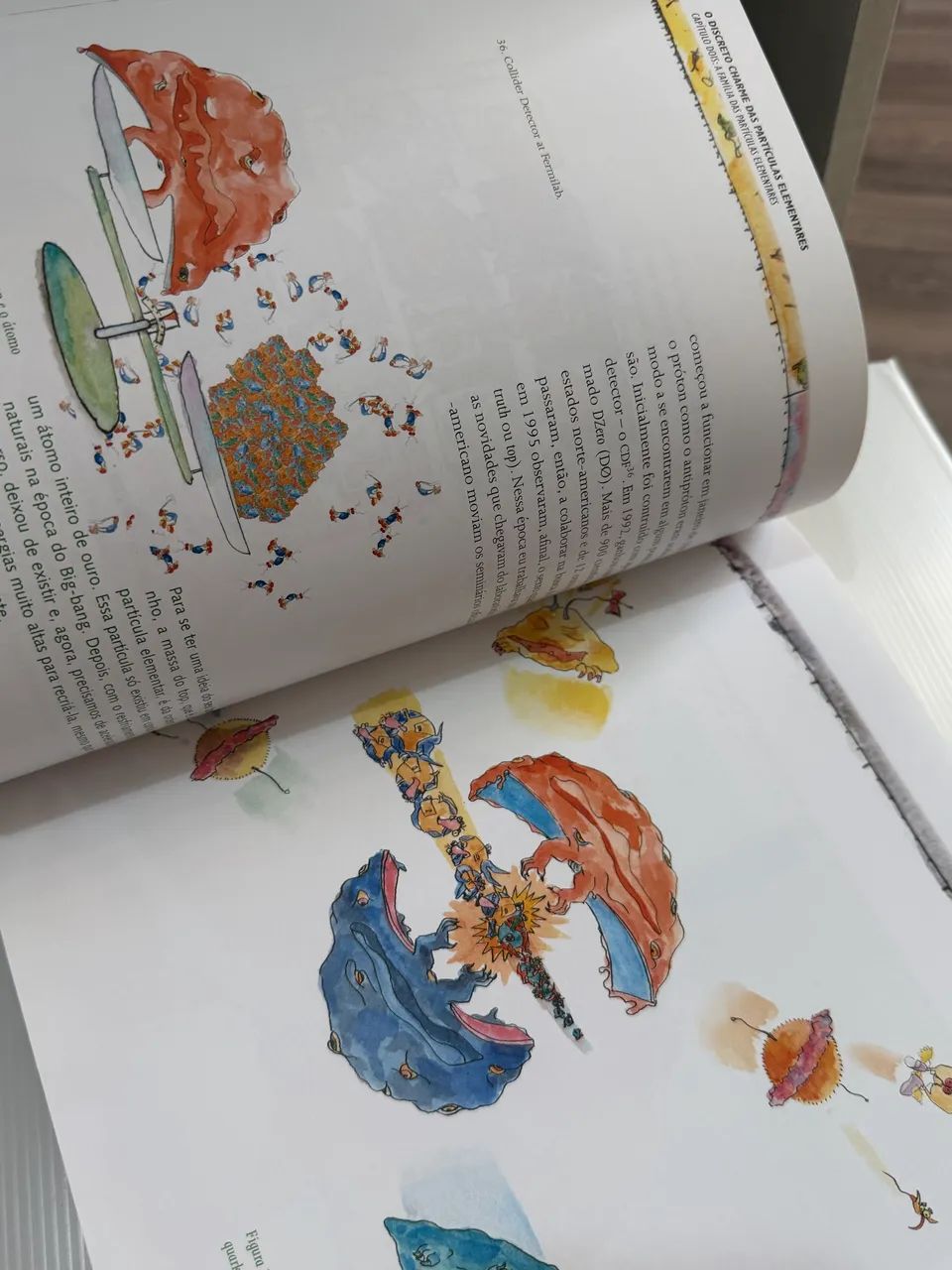 Livro O Discreto Charme das Partículas Elementares - Foto 3