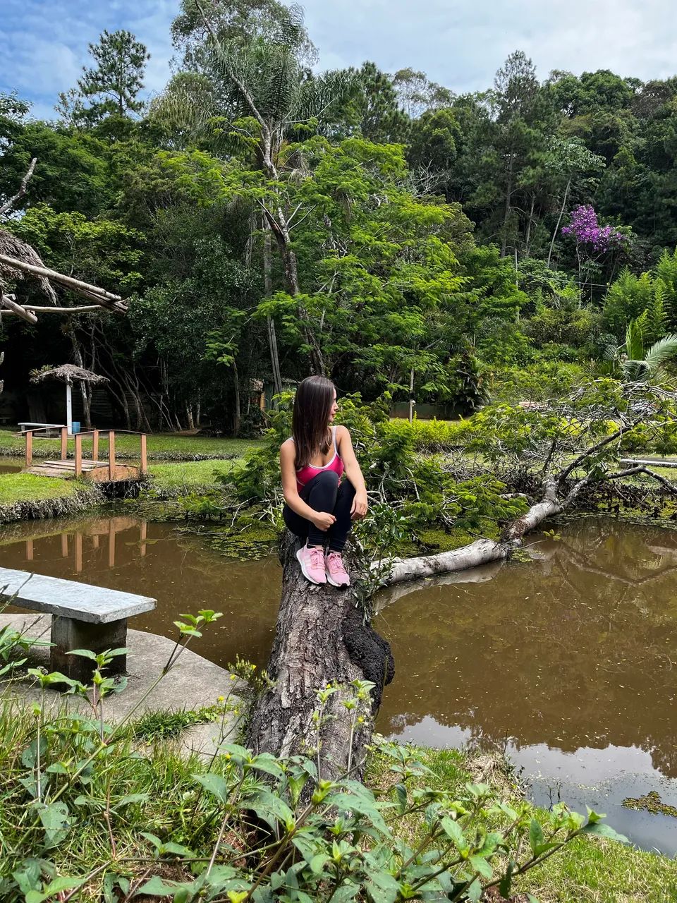 Chácara dos Sonhos // Suzano - Foto 2