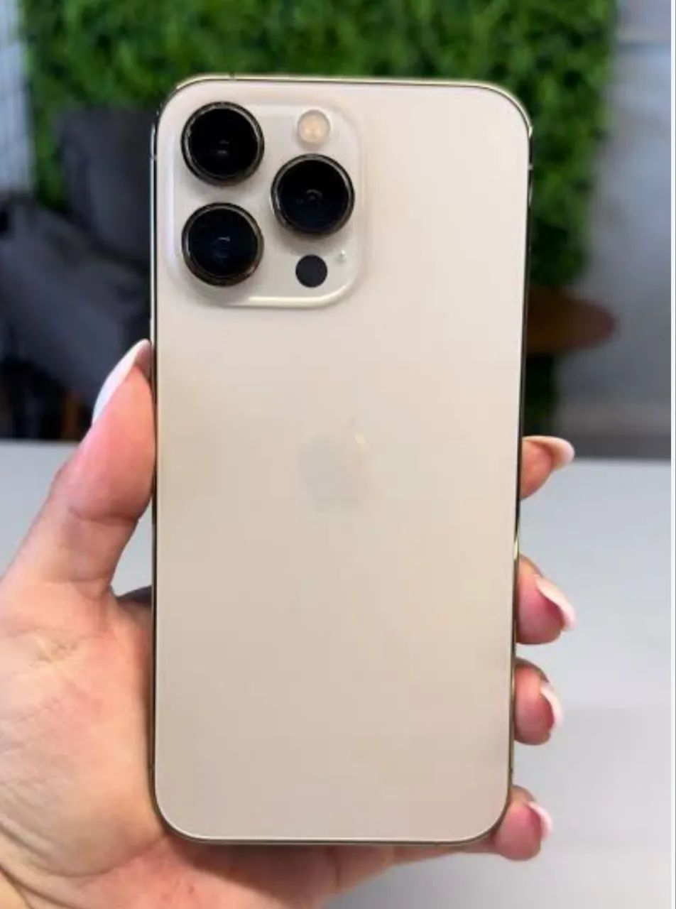 iPhone 13 Pro Max, tudo funcionando.