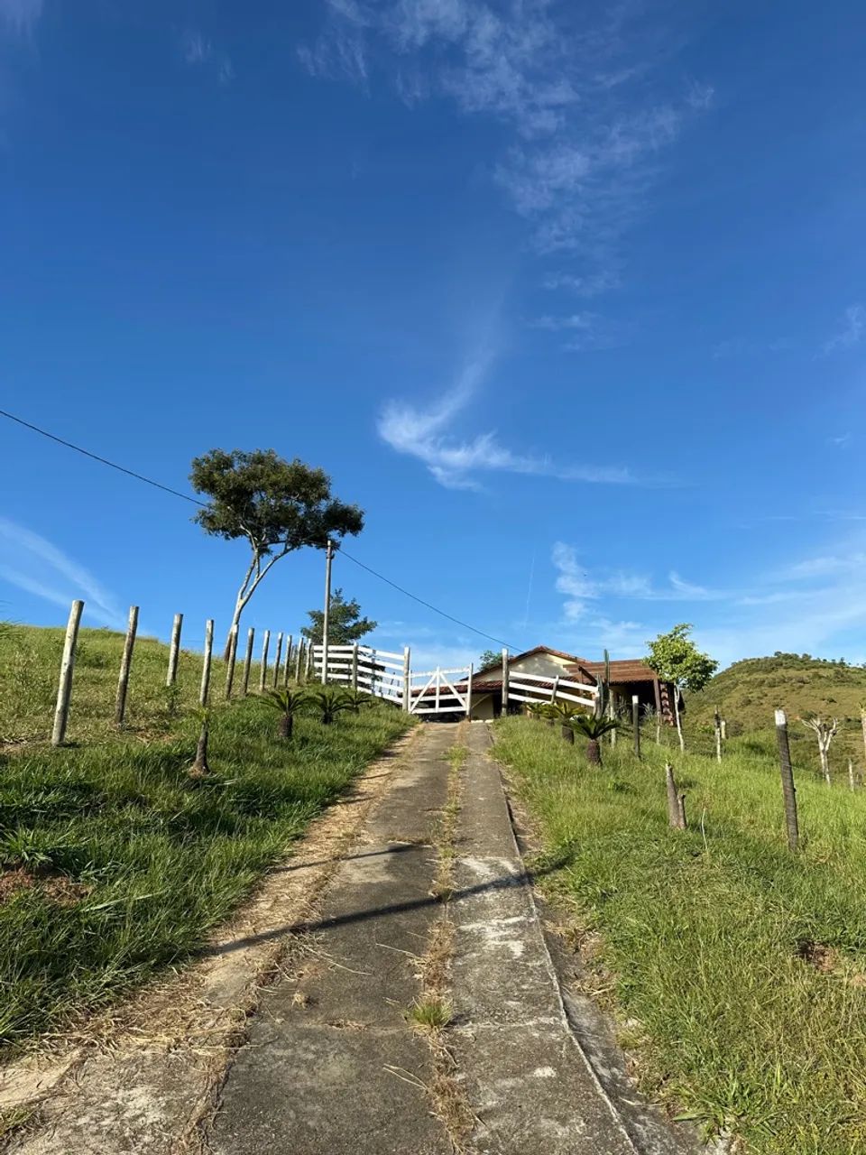 VENDO Sítio em Rio Bonito  - Foto 4