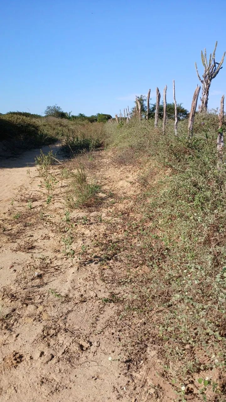 70 tarefas  - Foto 2