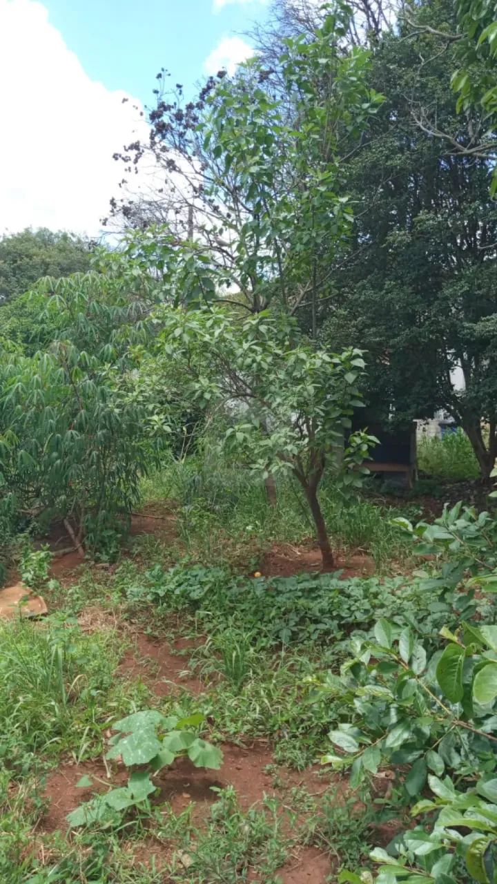 Lote à Venda no Bairro Morada da Colina - Foto 5