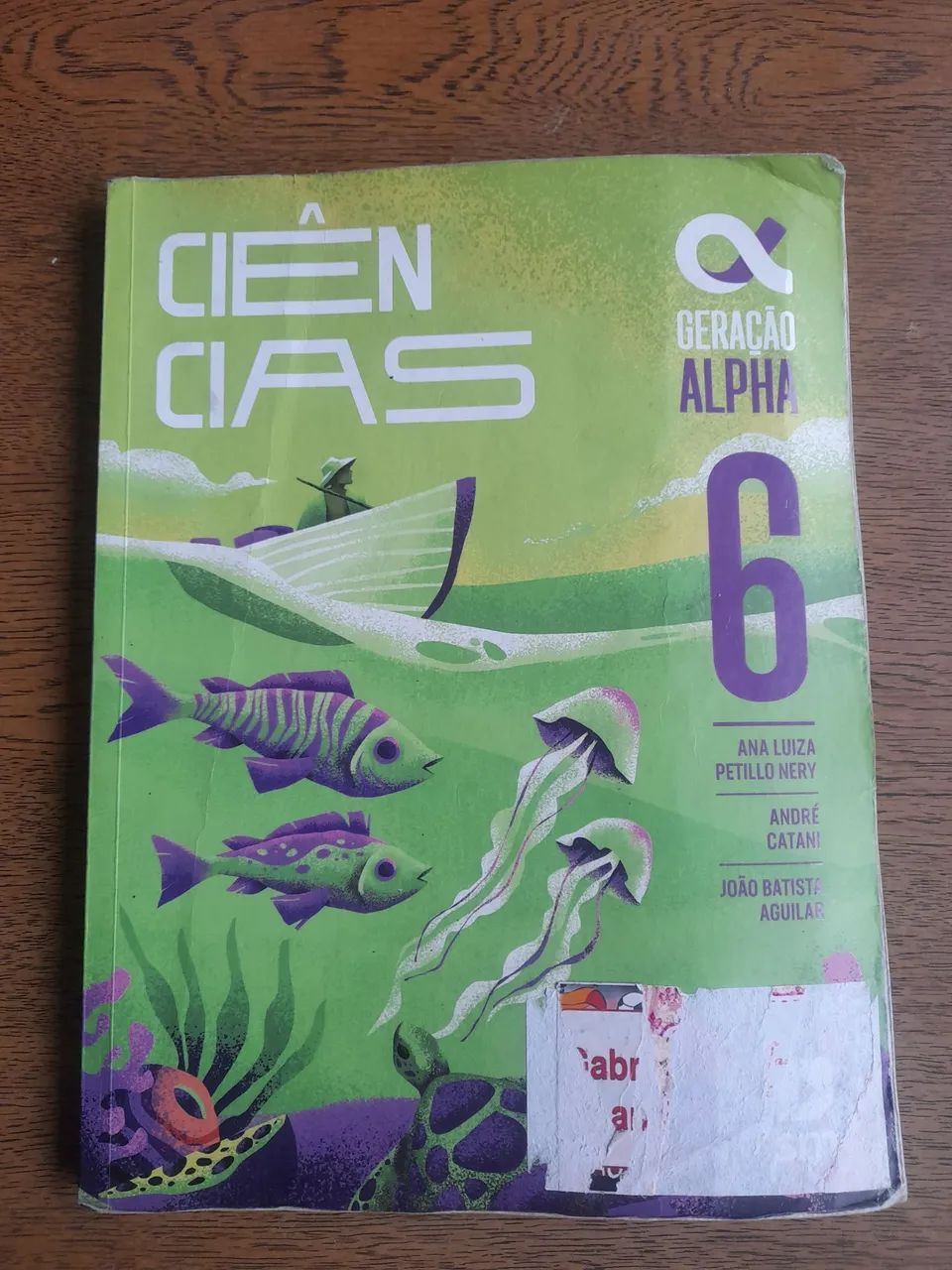 Livro 6? ano Ciências