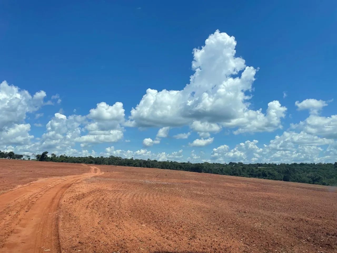 Fazenda em campo florido  - Foto 3