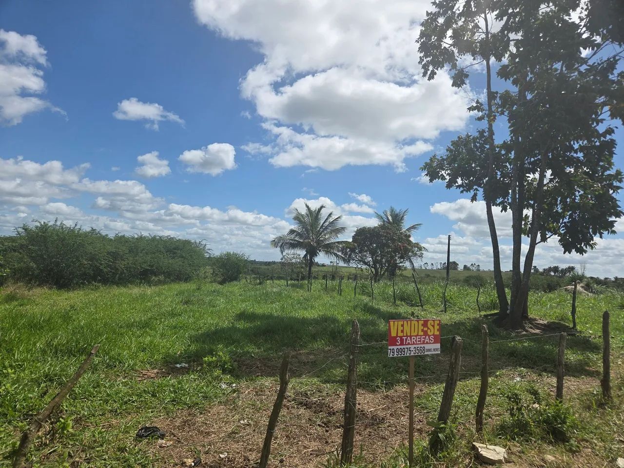 Oportunidade  - Foto 2