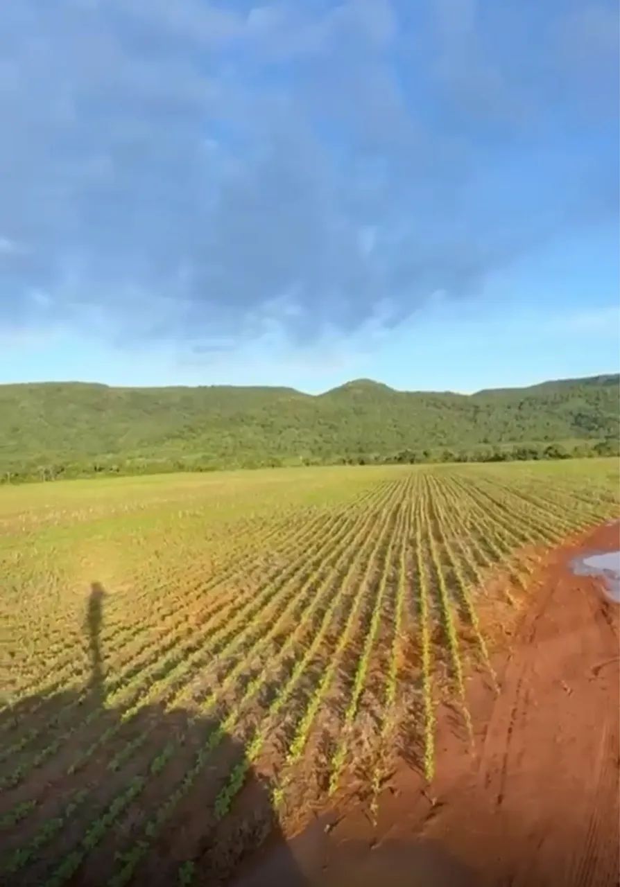 Fazenda terra de cultura, dupla aptidão - Foto 4
