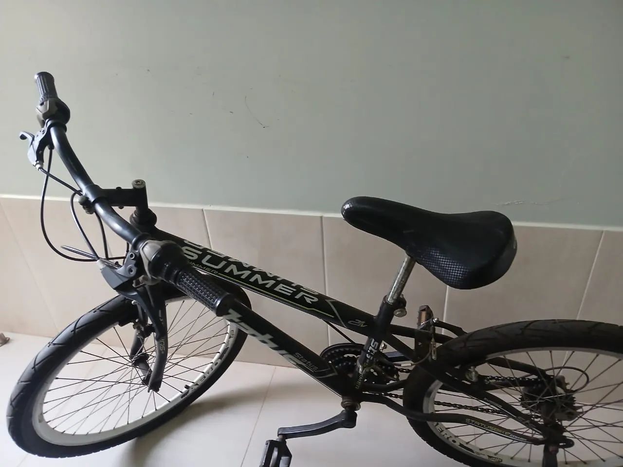 Bicicleta 