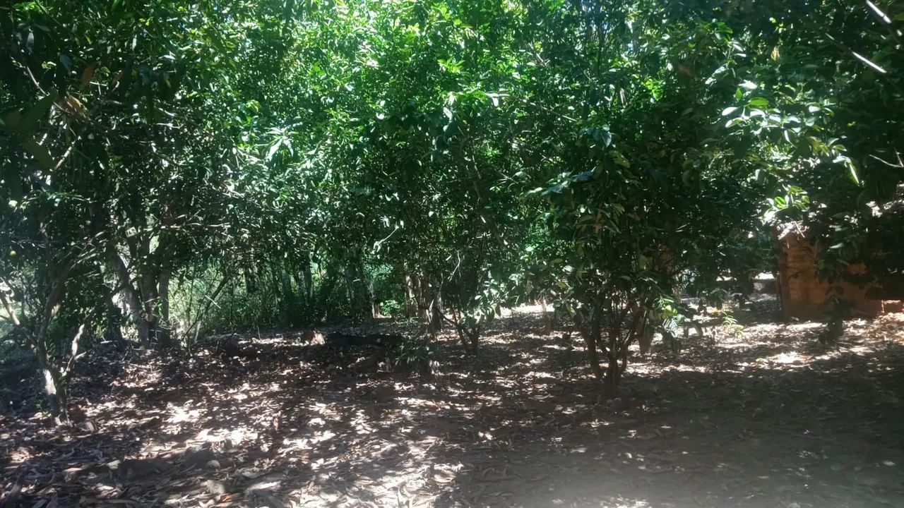 Chácara a venda  - Foto 5