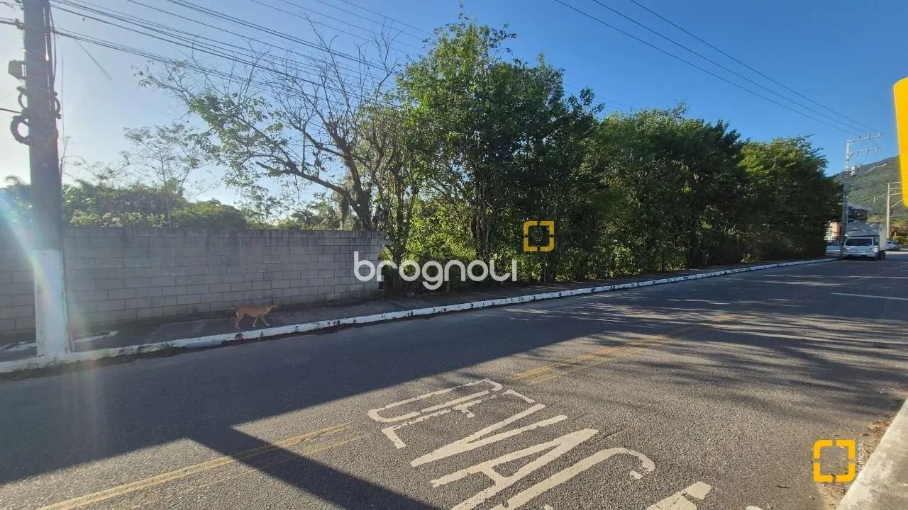 Chácara, 7.200m2, com saída para o Rio Ratones, Bairro Ratones em Florianópolis - Foto 3