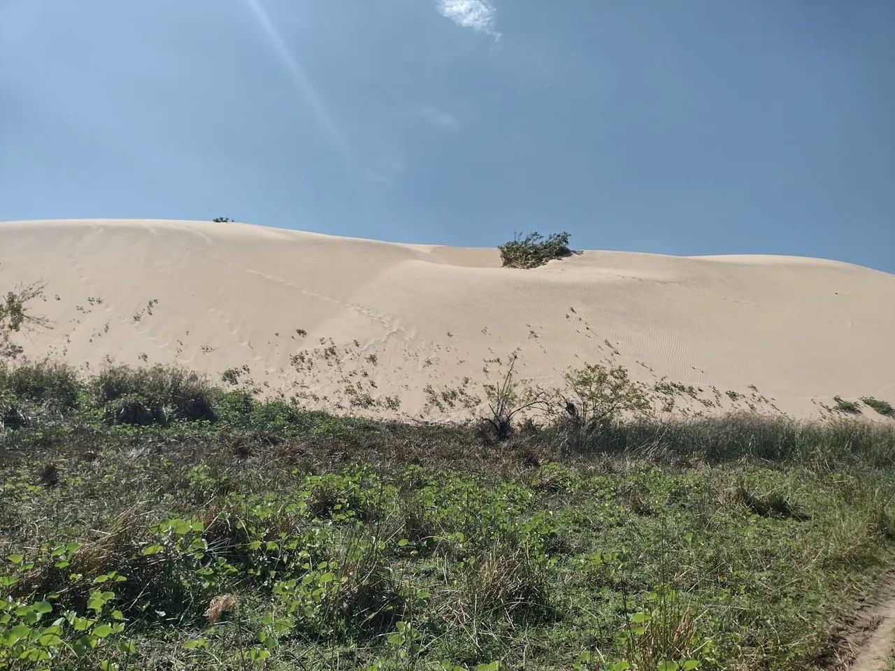 Vendo sítio próximo a praia do Peba/AL - Foto 5