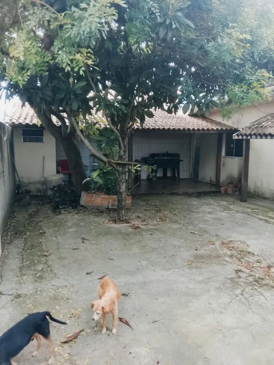 VENDO CASA DE ESQUINA - Foto 3