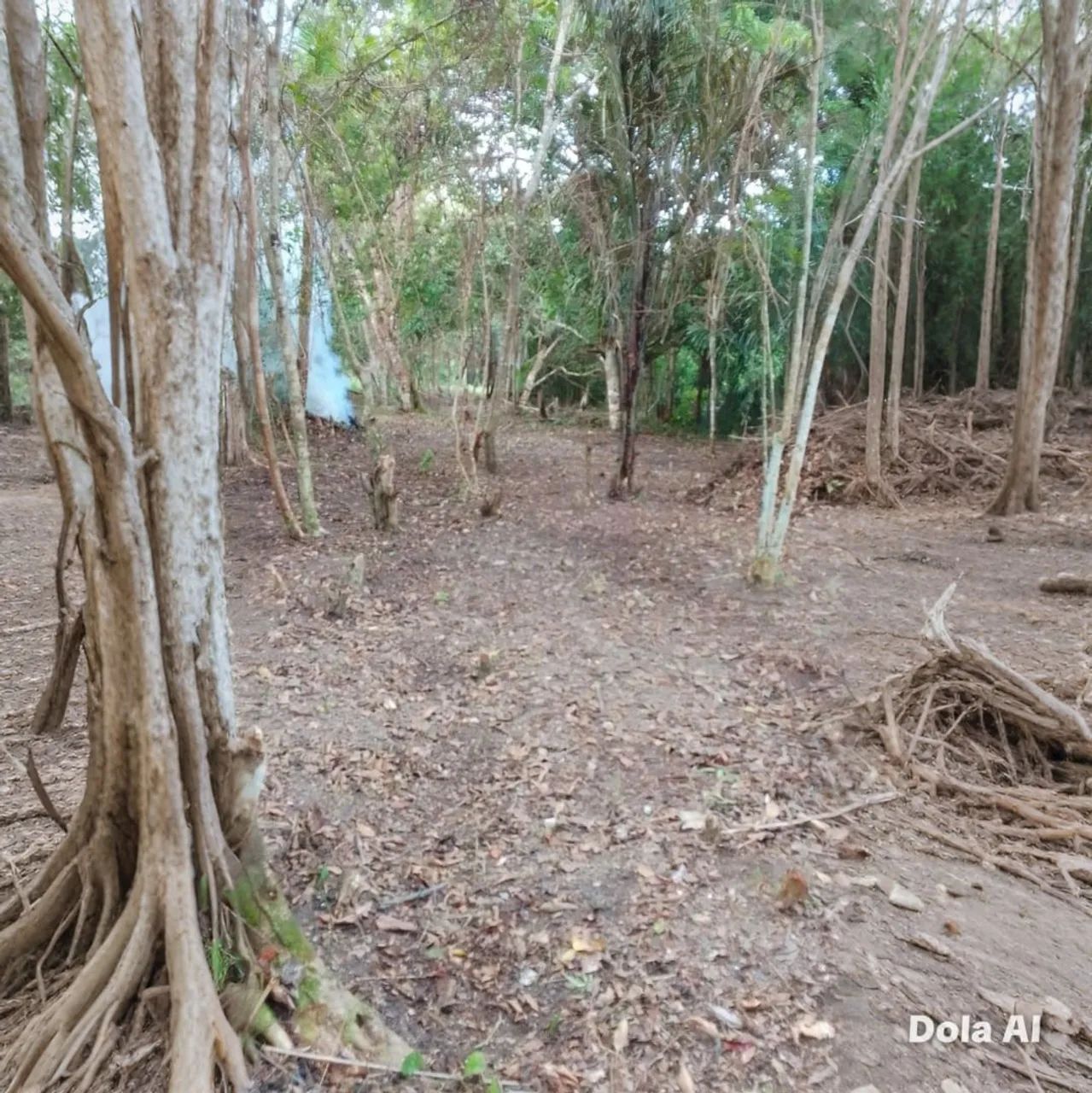 Vendo terreno em cotijuba 