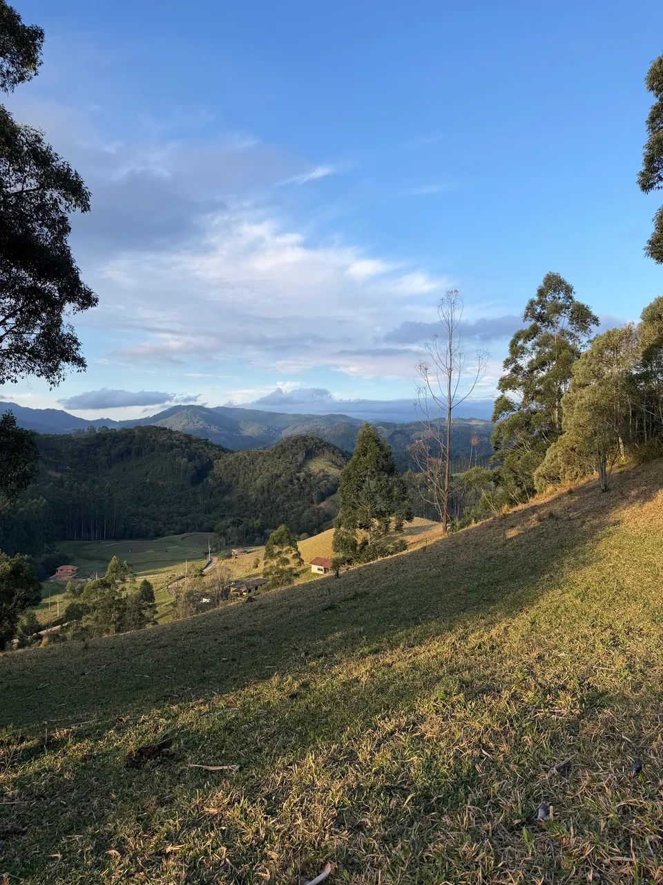 ANITÁPOLIS/SC - Terreno para sítio próximo a cidade 2 hectares  - Foto 4