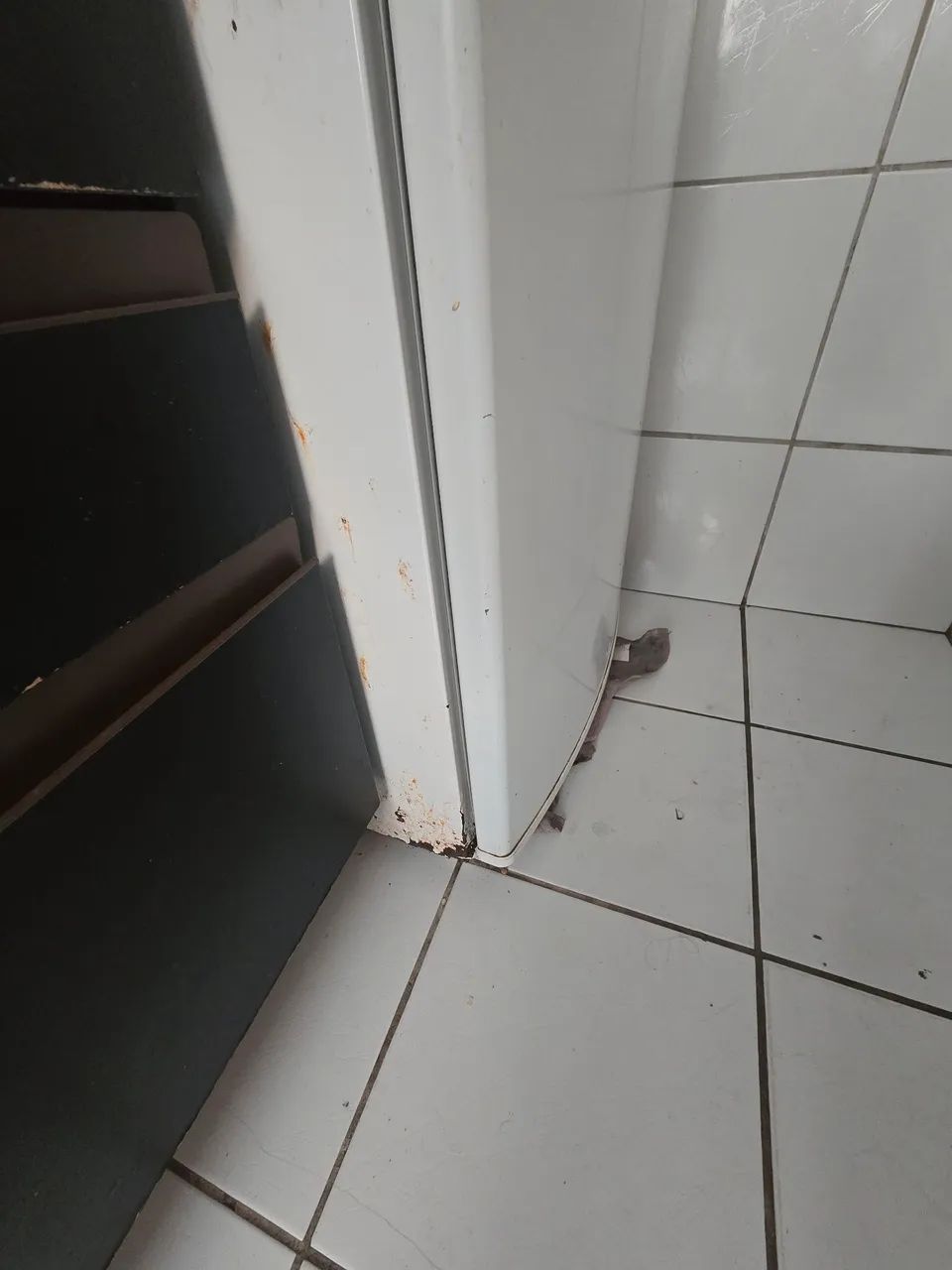 Oportunidade  - Foto 3