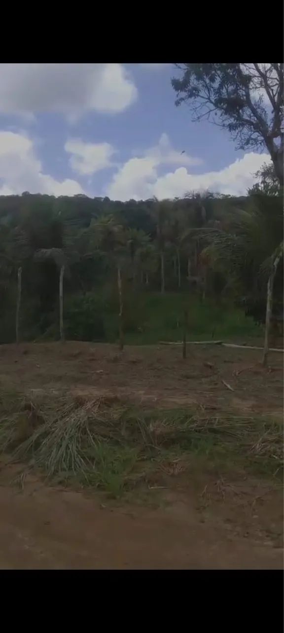 propriedade Rural - Foto 2