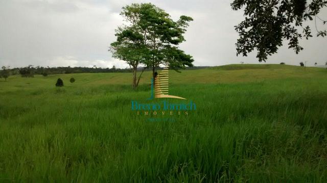 Fazenda em Santa Maria Eterna