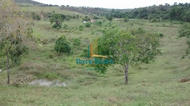 Fazenda 90KM de Eunápolis - Foto 17