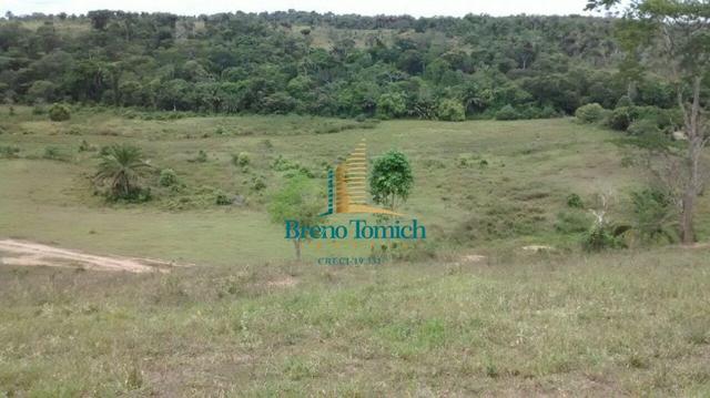 Fazenda 90KM de Eunápolis - Foto 13