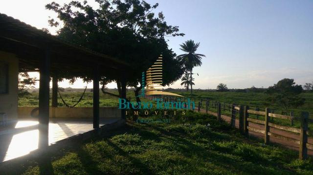 Fazenda á 80KM de Eunápolis - Foto 7