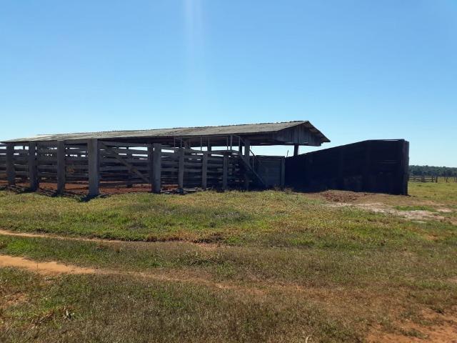 Fazenda no município de Itaúba -MT 1.457 hectares com 457 aberto - Foto 10