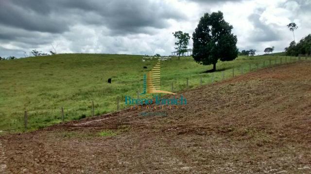 Fazenda em Santa Maria Eterna - Foto 16